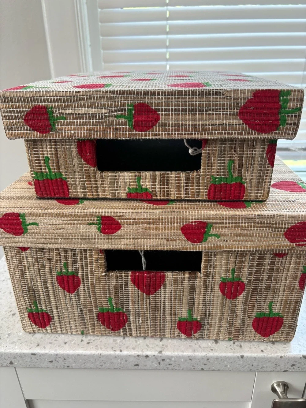 NWT Straw Woven Storage Boxes with Red Strawberry Print- 2 pack nesting